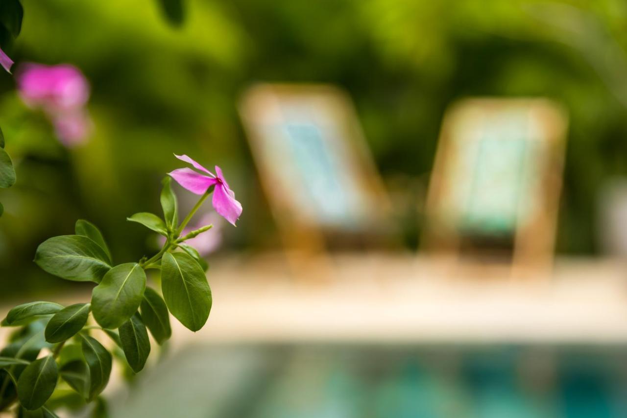 Zen Garden Tamarindo - Adults Only Hotel Kültér fotó