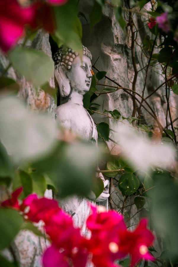 Zen Garden Tamarindo - Adults Only Hotel Kültér fotó